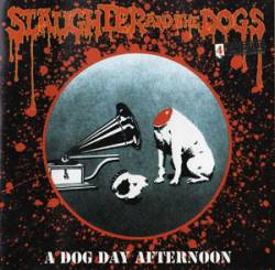 Slaughter And The Dogs : A Dog Day Afternoon